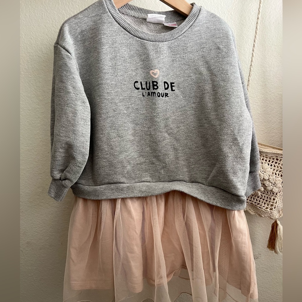 Zara sweater dress ballet 4/5